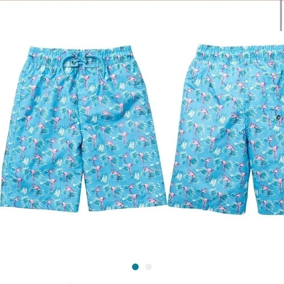 BEACH Bros Flamingo Swim Trunks - Picture 1 of 4